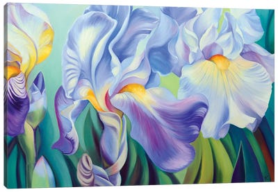 Three Irises Canvas Art Print - Similar to Georgia O'Keeffe