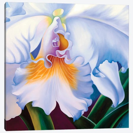 White Orchid Canvas Print #MKD6} by Mira Kamada Canvas Artwork