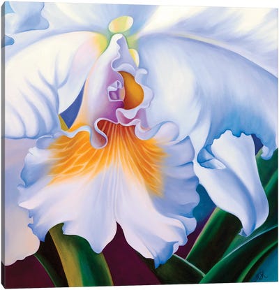 White Orchid Canvas Art Print - Similar to Georgia O'Keeffe