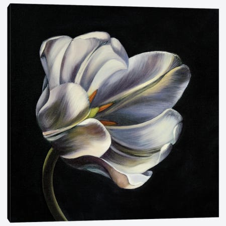 Night Bloom Canvas Print #MKD8} by Mira Kamada Canvas Art Print