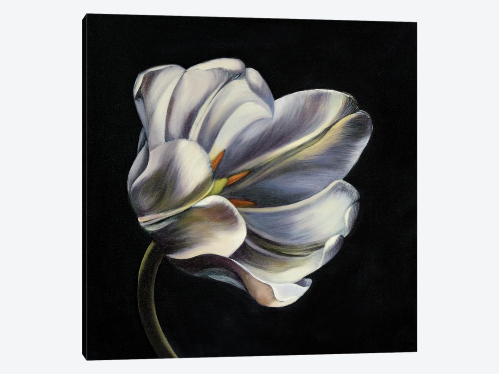 Night Bloom by Mira Kamada 1-piece Canvas Print