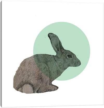 Rabbit Canvas Art Print - Animals by Morgan Kendall