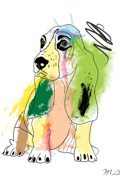 Basset Hound