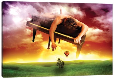 The Pianist Canvas Art Print - Music Lover