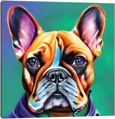 French Bulldog II Canvas Art Print - Mark Ashkenazi