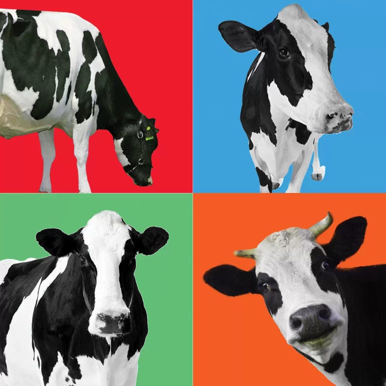 Cow III by Mark Ashkenazi wall art