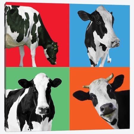 Cow III Canvas Print #MKH21} by Mark Ashkenazi Canvas Art Print