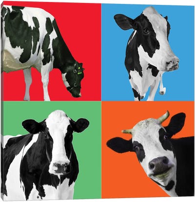 Cow III Canvas Art Print - Mark Ashkenazi