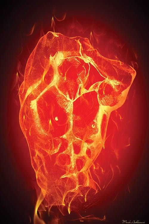 Fire Guy by Mark Ashkenazi wall art