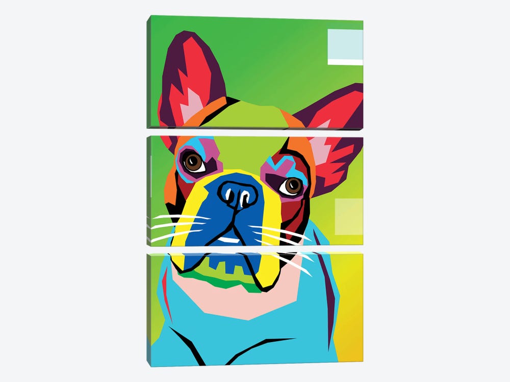 French Bulldog by Mark Ashkenazi 3-piece Canvas Artwork