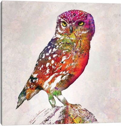 Owl Canvas Art Print - Mark Ashkenazi