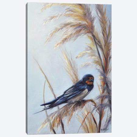 Barn Swallow With Reed Plumes Canvas Print #MKJ11} by Marjolein Kruijt Canvas Art