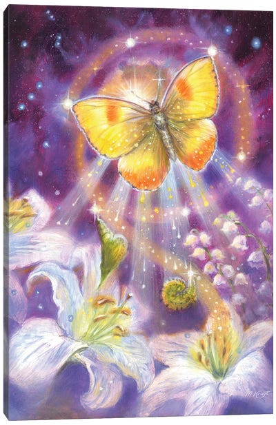 Butterfly - Transformation Canvas Art Print - Marjolein Kruijt