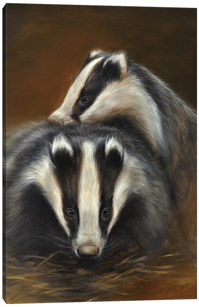Playtime - Young Badgers Canvas Art Print - Badger Art
