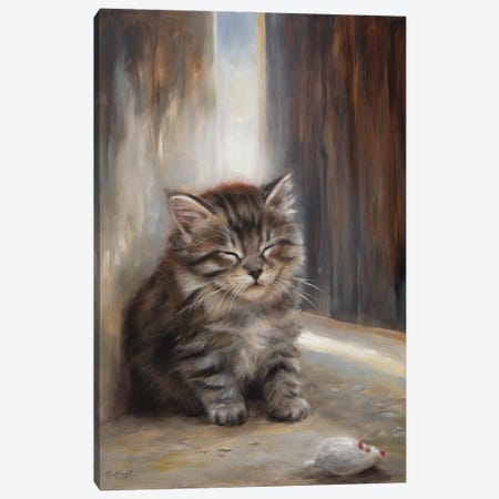 Dreaming- Maine Coon Kitten Canvas Print #MKJ23} by Marjolein Kruijt Art Print