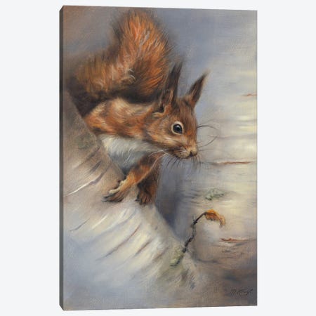 Curious Squirrel Canvas Print #MKJ24} by Marjolein Kruijt Canvas Wall Art