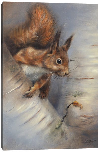 Curious Squirrel Canvas Art Print - Marjolein Kruijt