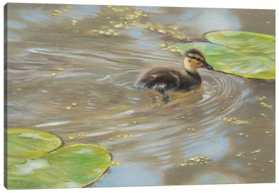 Early Spring - Duckling Canvas Art Print - Marjolein Kruijt