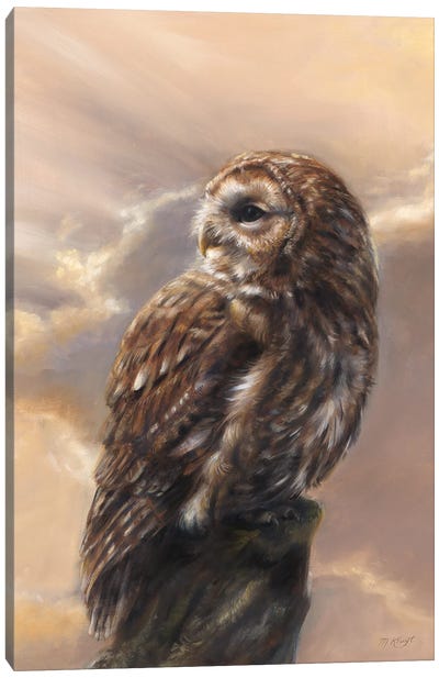 Evening Glory - Tawny Owl Canvas Art Print - Marjolein Kruijt