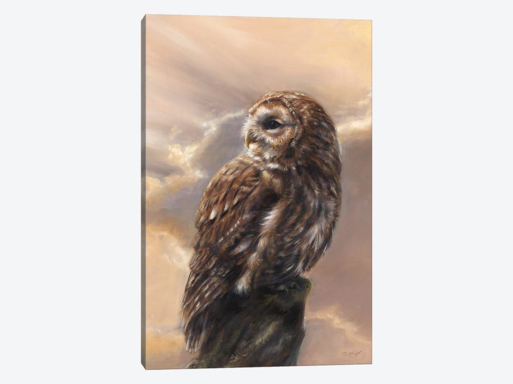Evening Glory - Tawny Owl by Marjolein Kruijt 1-piece Canvas Print