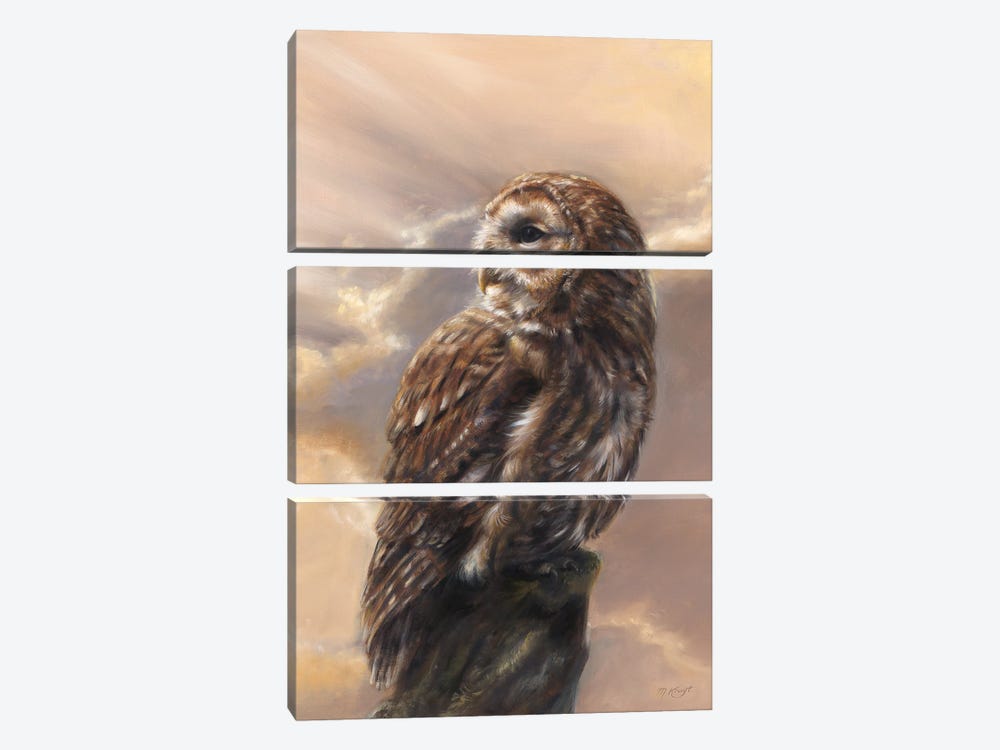 Evening Glory - Tawny Owl by Marjolein Kruijt 3-piece Canvas Print