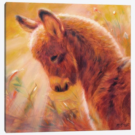 Sunlit Donkey Canvas Print #MKJ30} by Marjolein Kruijt Canvas Wall Art