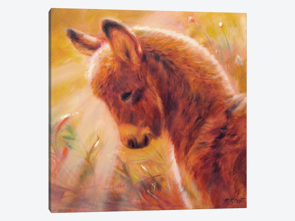Sunlit Donkey by Marjolein Kruijt 1-piece Canvas Print