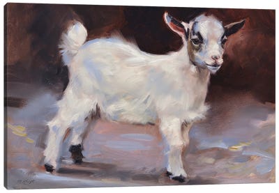 Little Goat Canvas Art Print - Marjolein Kruijt