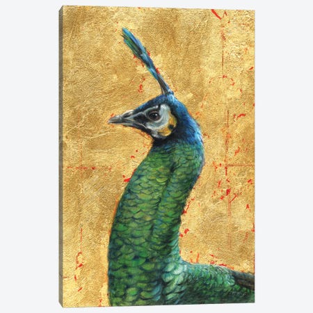 Golden Peacock Canvas Print #MKJ33} by Marjolein Kruijt Canvas Art