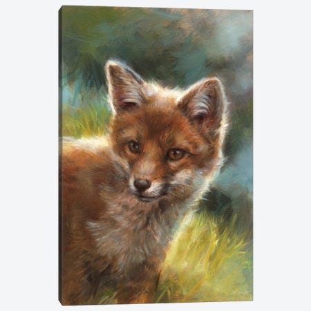 Little Curious Fox Canvas Print #MKJ36} by Marjolein Kruijt Canvas Art Print