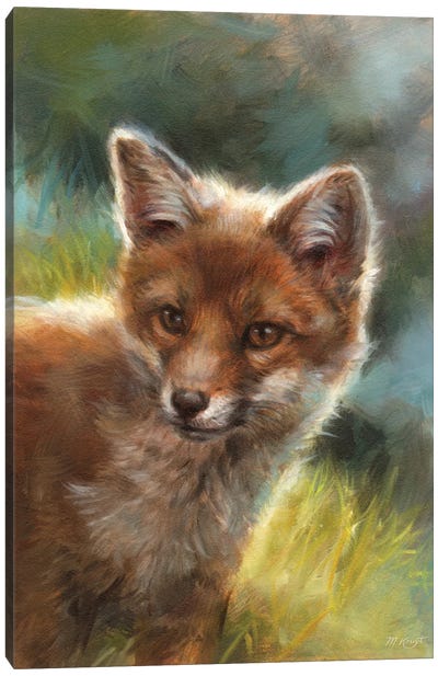 Little Curious Fox Canvas Art Print - Marjolein Kruijt