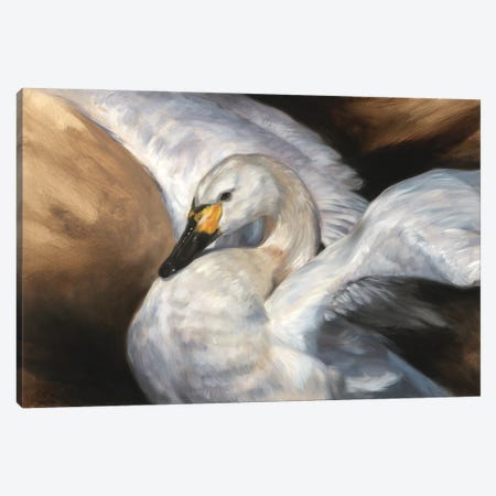 Gracious - Tundra Swan Canvas Print #MKJ37} by Marjolein Kruijt Canvas Print