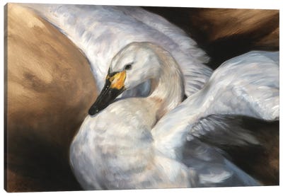 Gracious - Tundra Swan Canvas Art Print - Marjolein Kruijt