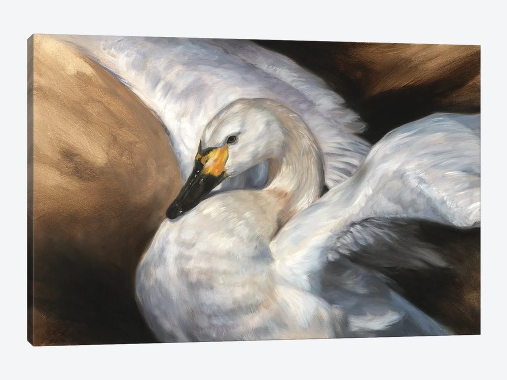 Gracious - Tundra Swan by Marjolein Kruijt 1-piece Canvas Art