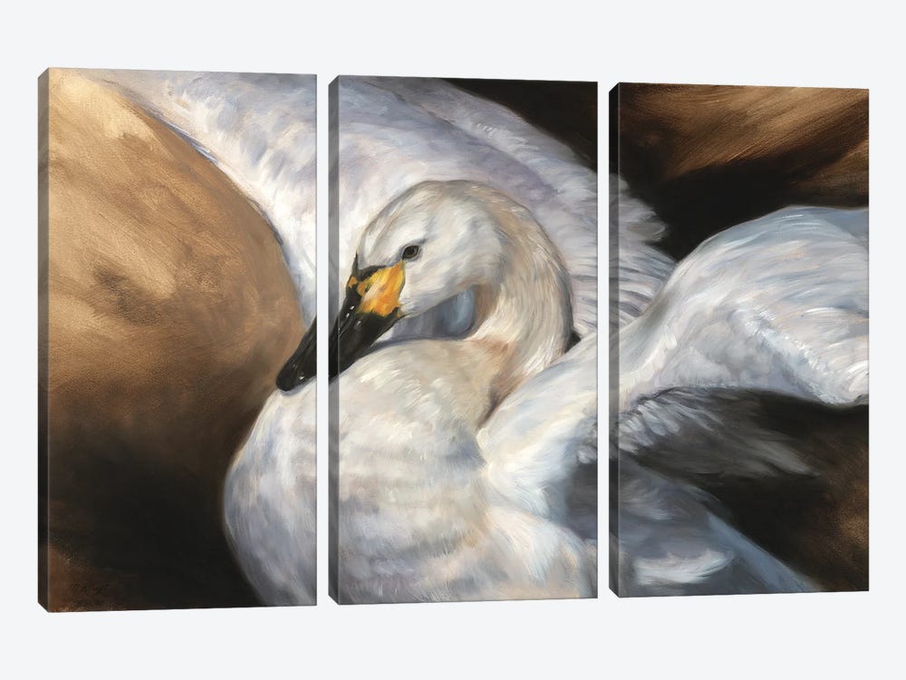 Gracious - Tundra Swan by Marjolein Kruijt 3-piece Canvas Art