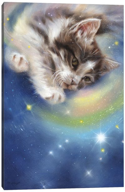 Release - Kitten In Galaxy Canvas Art Print - Marjolein Kruijt