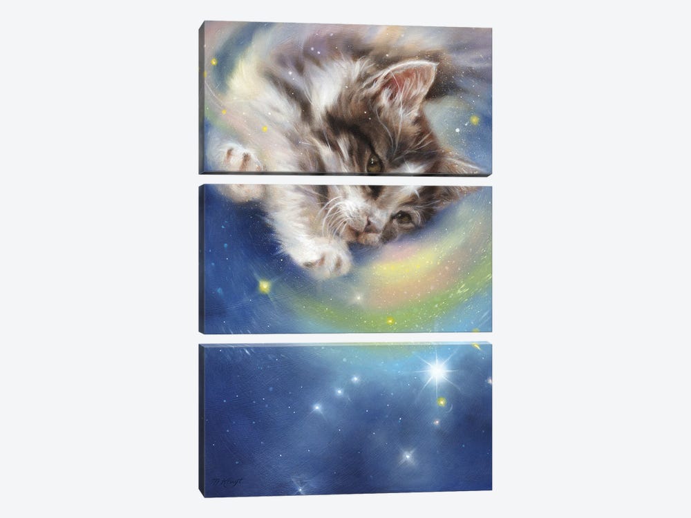Release - Kitten In Galaxy by Marjolein Kruijt 3-piece Canvas Artwork