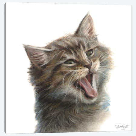 Yawning Maine Coon Kitten Canvas Print #MKJ40} by Marjolein Kruijt Canvas Art Print