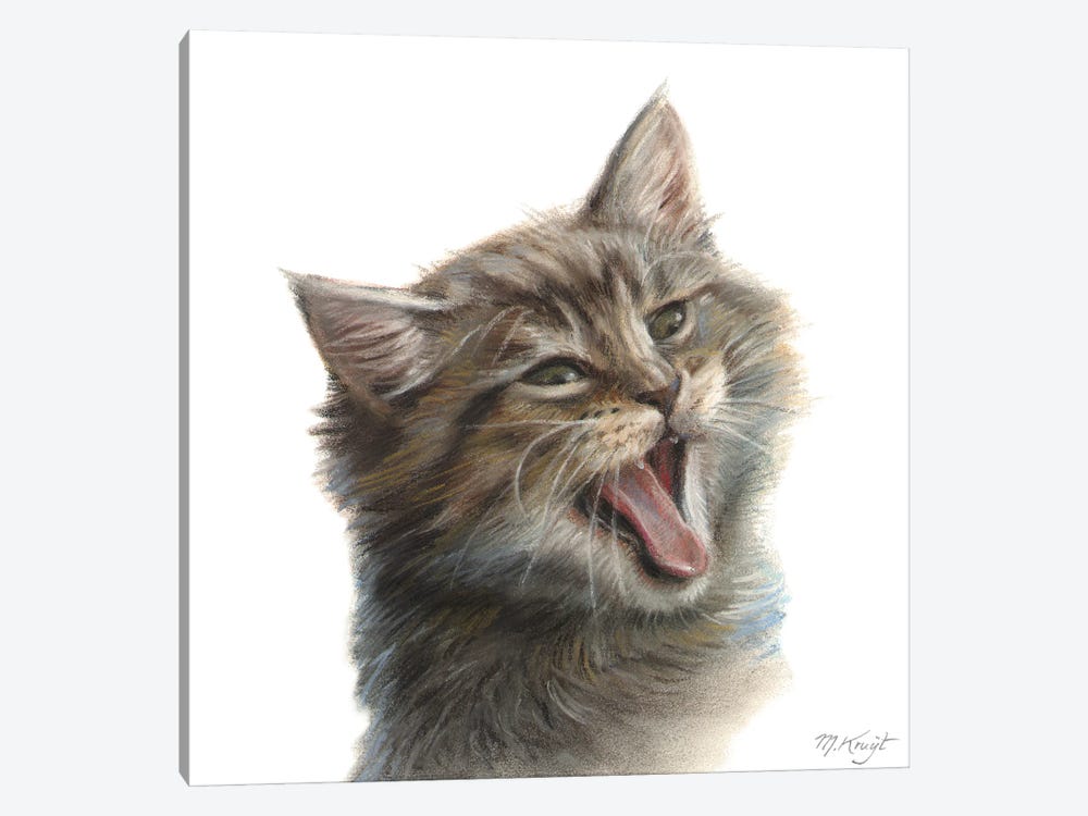 Yawning Maine Coon Kitten by Marjolein Kruijt 1-piece Canvas Wall Art