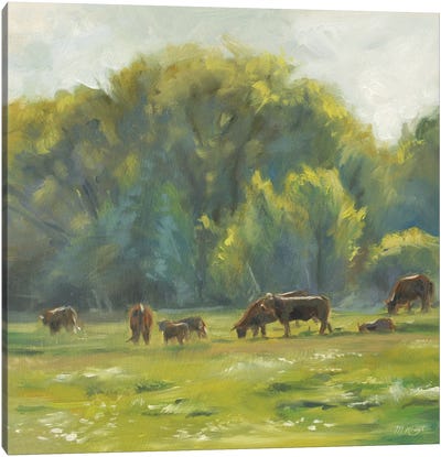 Summer Evening - Cows Canvas Art Print - Marjolein Kruijt