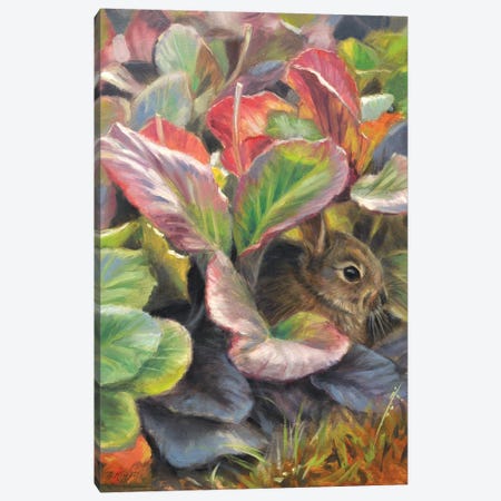 Hidden Little Rabbit Canvas Print #MKJ44} by Marjolein Kruijt Canvas Wall Art