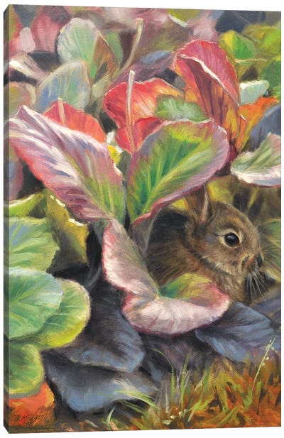 Hidden Little Rabbit Canvas Art Print - Marjolein Kruijt