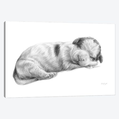 Lagotto Romagnolo Dog Puppy Canvas Print #MKJ48} by Marjolein Kruijt Canvas Art Print