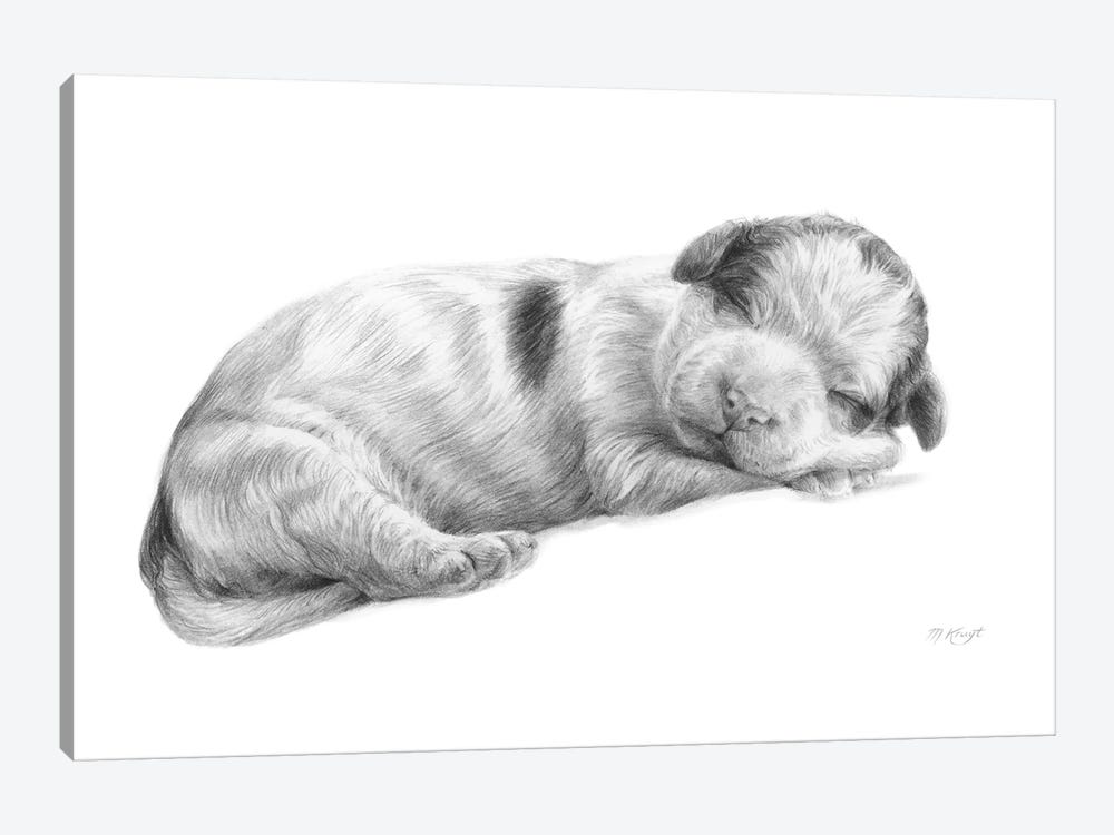 Lagotto Romagnolo Dog Puppy by Marjolein Kruijt 1-piece Canvas Artwork