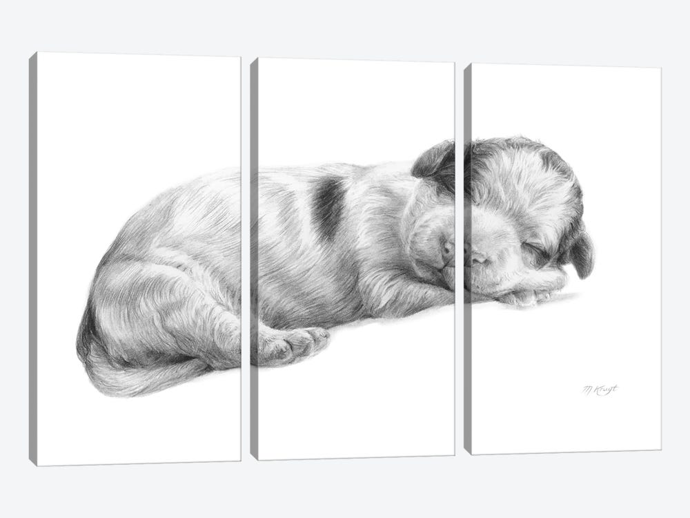 Lagotto Romagnolo Dog Puppy by Marjolein Kruijt 3-piece Canvas Art