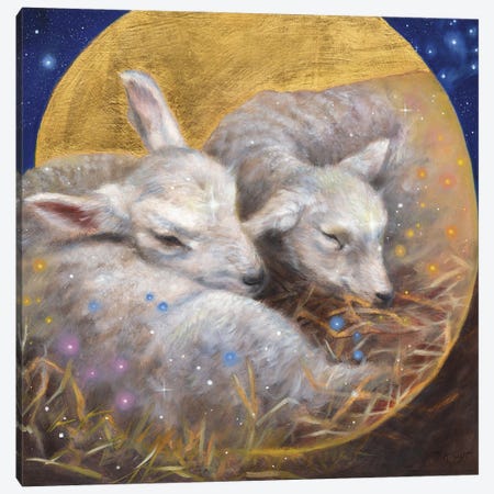 Divinity - Lambs Canvas Print #MKJ49} by Marjolein Kruijt Art Print