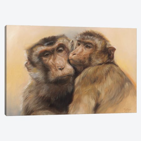 Best Friends - Rhesus Macaques Canvas Print #MKJ50} by Marjolein Kruijt Canvas Artwork