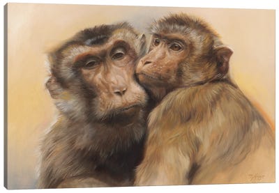 Best Friends - Rhesus Macaques Canvas Art Print - Marjolein Kruijt