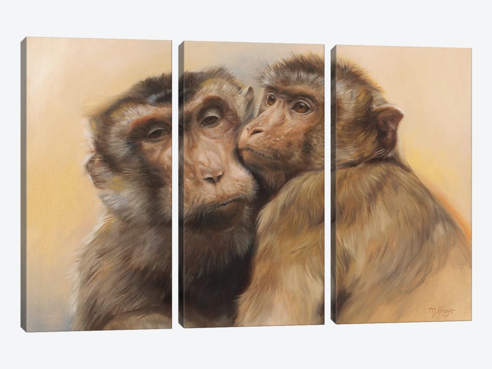 Best Friends - Rhesus Macaques by Marjolein Kruijt 3-piece Canvas Art Print