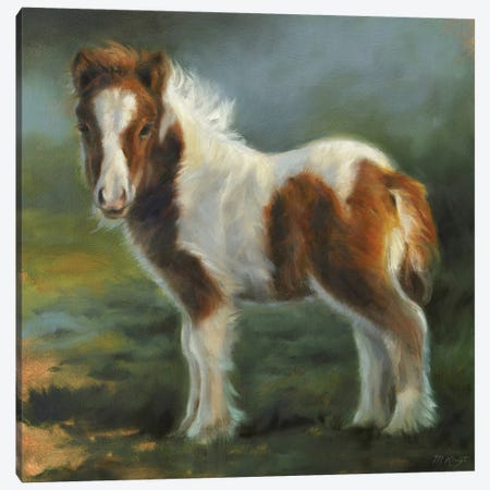 Miniature Shetland Pony Foal Canvas Print #MKJ51} by Marjolein Kruijt Canvas Art